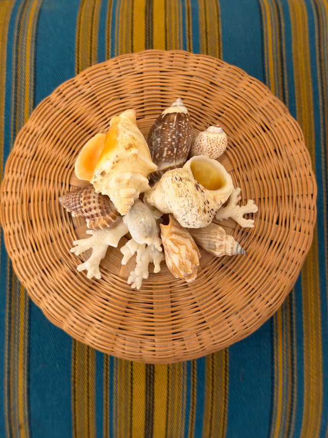 Vintage Lidded Basket with Shells