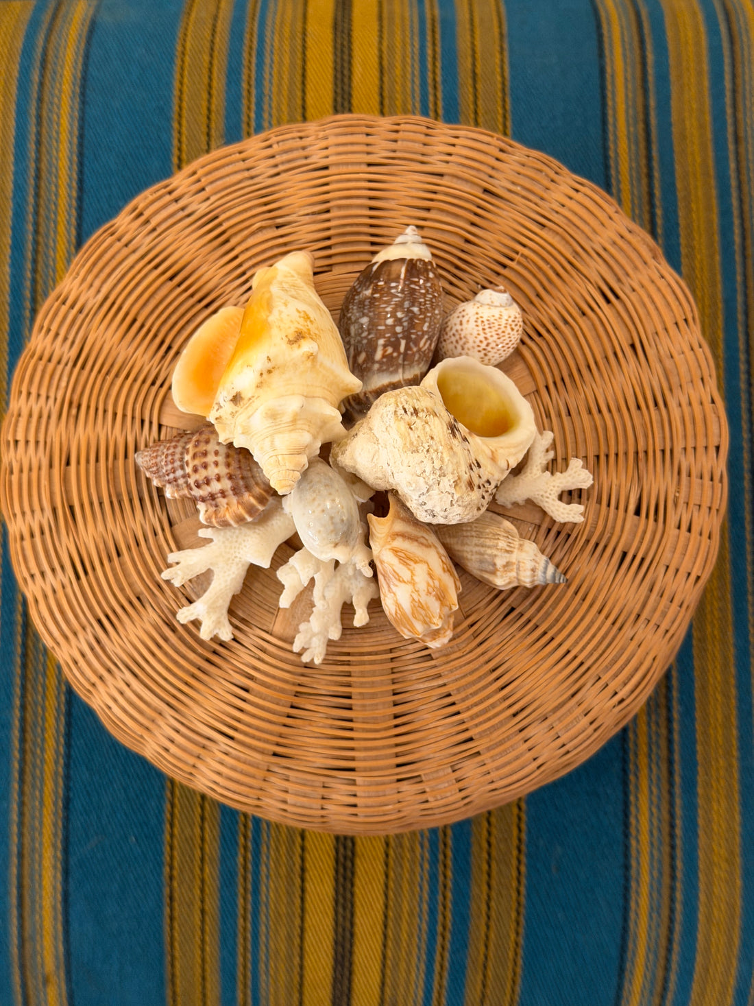 Vintage Lidded Basket with Shells